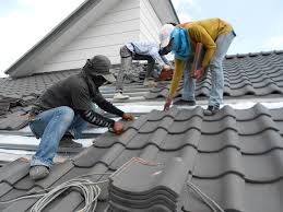 Best Solar Panel Roofing Installation  in Roman Forest, TX